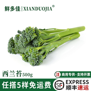 甜杆西兰苔新鲜西兰花苔迷你西兰花兰花苔西蓝苔酒店西餐食材蔬菜