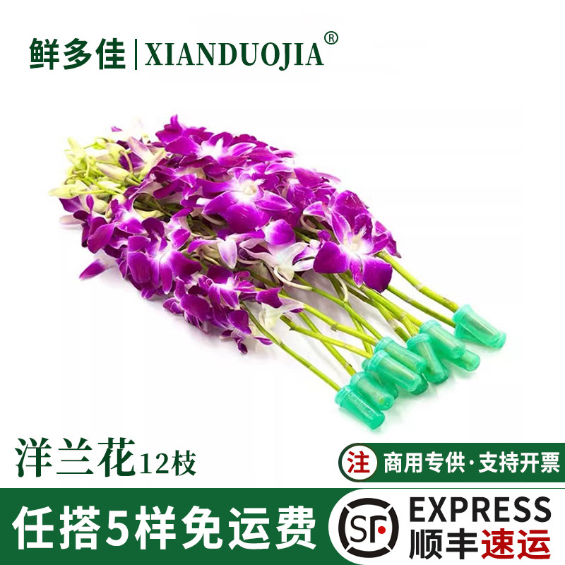 杨兰花新鲜花洋兰花朵石斛兰装饰