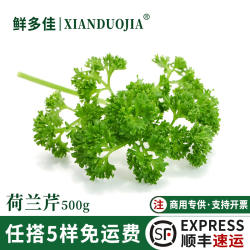 新鲜荷兰芹蕃茜洋芫荽法香法国香菜欧芹西洋芹酒店西餐摆盘装饰用