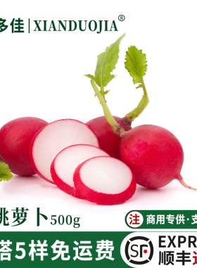 樱桃萝卜新鲜迷你小萝卜红色萝卜生吃即食蔬菜沙拉轻食西餐食材