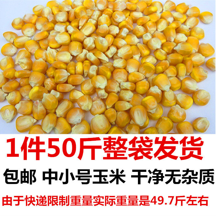 50斤钓鱼打窝25KG斑玉米粒