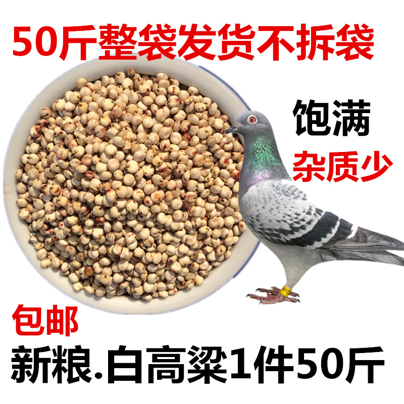 美顿宝新粮带壳白饲料