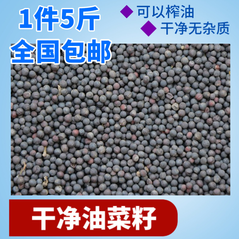 美顿宝免邮费鸟食油菜籽饼饲料