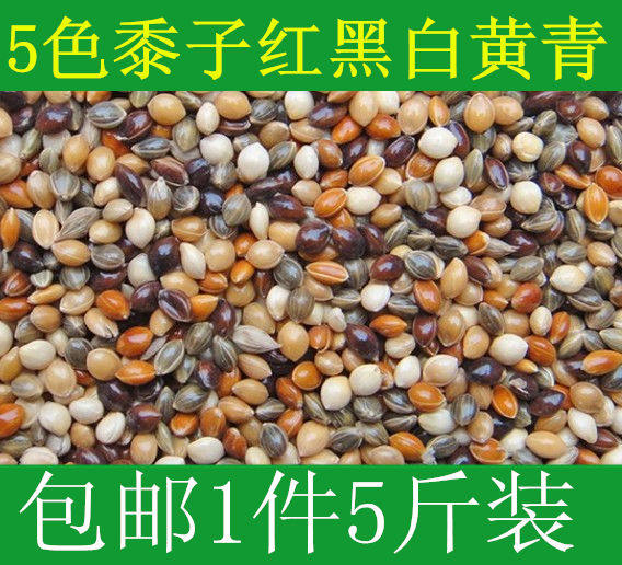 五色黍子混合饲料5斤营养鹦鹉