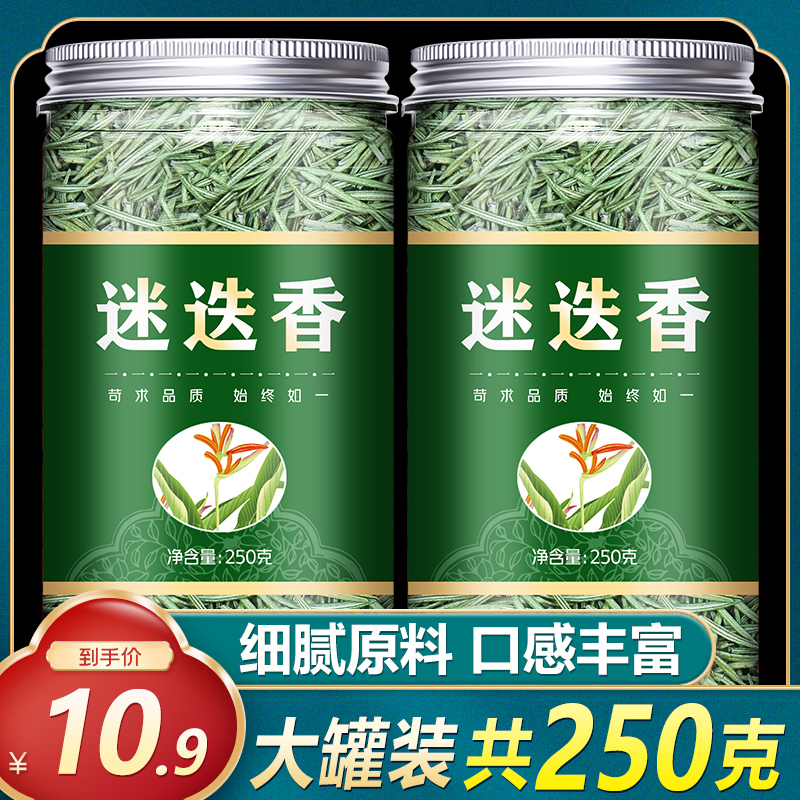 迷里香调料可食用烘焙盆栽