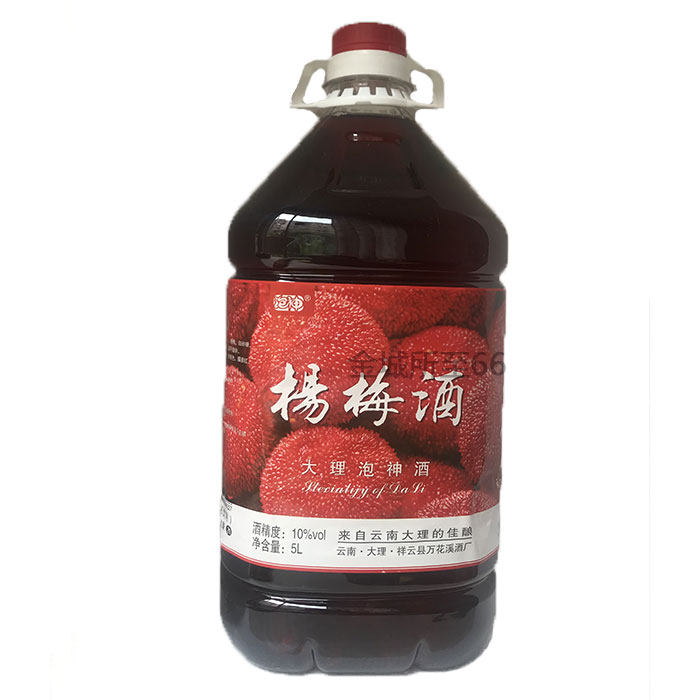 泡神杨梅酒露酒5L大桶装 10度 大理泡神酒云南特产泡酒青梅雕梅