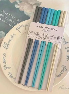 Morandi Color Octagon Pink Girl Heart Unpainted Chopsticks S