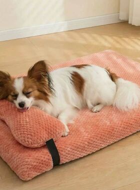 All Season Use Flat Sponge Dog Bed with Pillow Cat Accessori