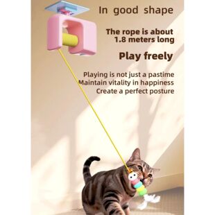 Electric Smart Cat Teaser Hanging Door Yo-Yo Balls Toy Funny