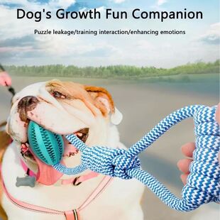 Interactive Dog Treat Ball 18x13cm, Chew Resistant Rope Toy