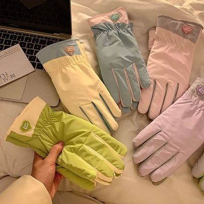 Winter Warm Snowboard Gloves Ski Accessories Windproof Sport