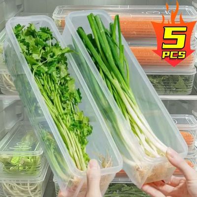 Fresh Box Refrigerator Storage Boxes Scallions Food Containe