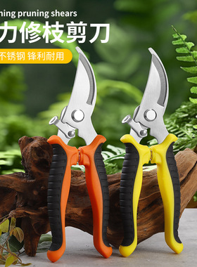 Gardening pruning shears, stainless steel fruit tree thick b