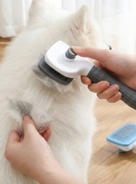 Dual-Use Dog & Cat Grooming Brush (20×10×5.5cm) - Self-Cle