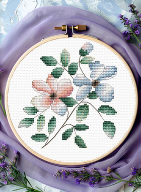 DMC十字绣材料包装饰画 A713素雅小花4 印花