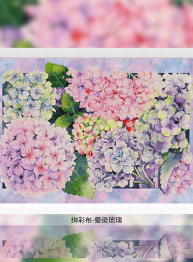 十字绣套件卧室客厅正品DMC绣线配置 D290 绣球花 全针14CT印花