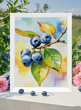 法国DMC十字绣套件 D478 蓝莓 全针25CT简单新手 满绣