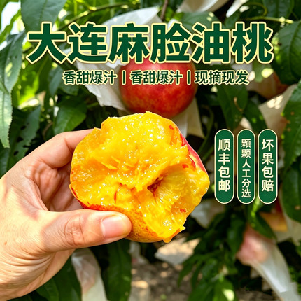 大连正宗麻脸黄心丑油桃离核特大脆甜现摘现发应季水果顺丰包邮