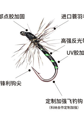 蓑羽腹节摇蚊飞蝇钩格里菲斯