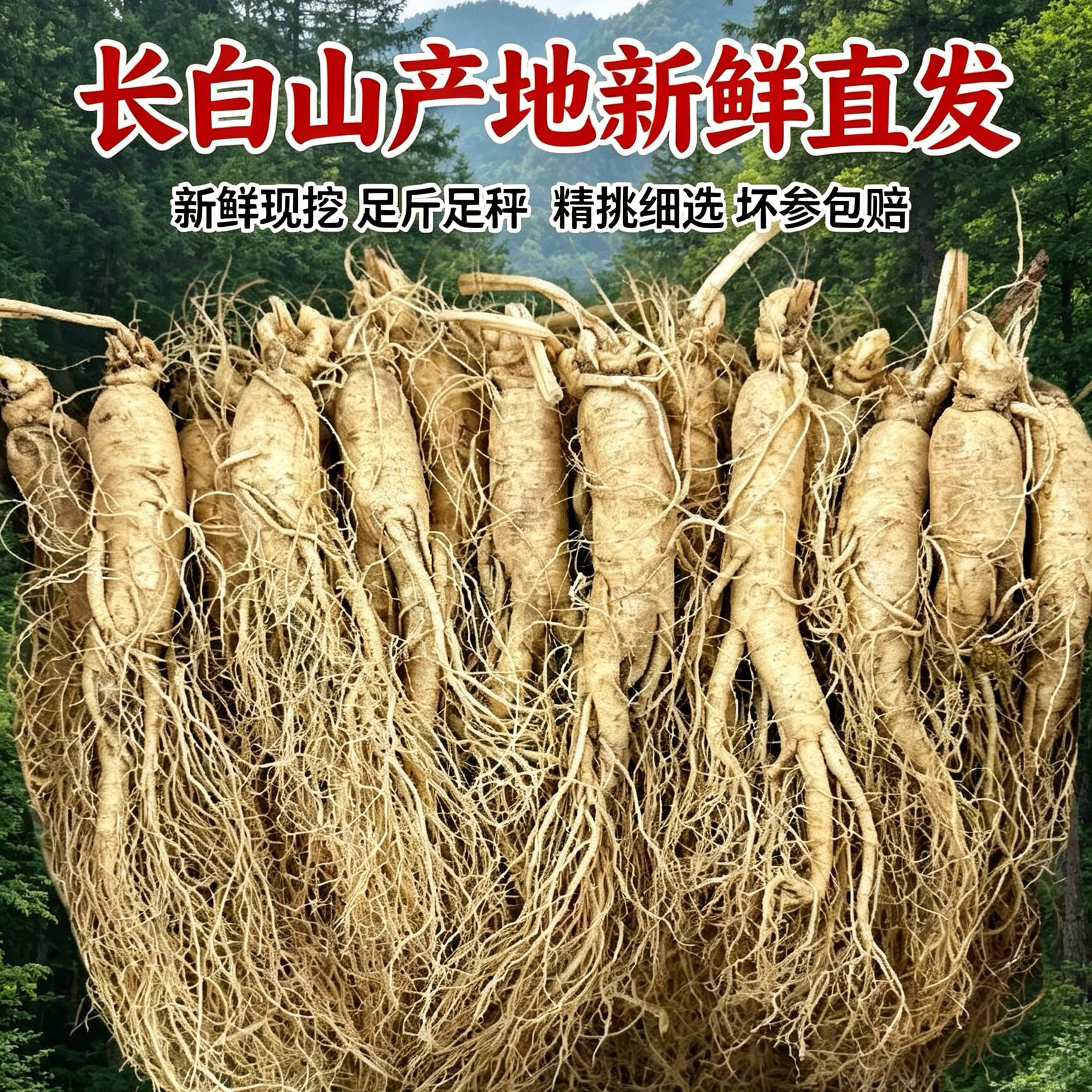 长白山特产东北吉林特产非野生人参礼盒装鲜参新鲜人参滋补高档