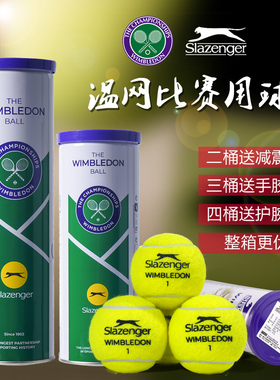 Slazenger/史莱辛格网球紫铁罐装温网比赛用球筒装高弹耐磨训练球