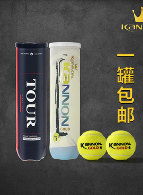包邮 Kannon 康龙金冠网球专业耐打耐磨高弹性训练球比赛球 3个装