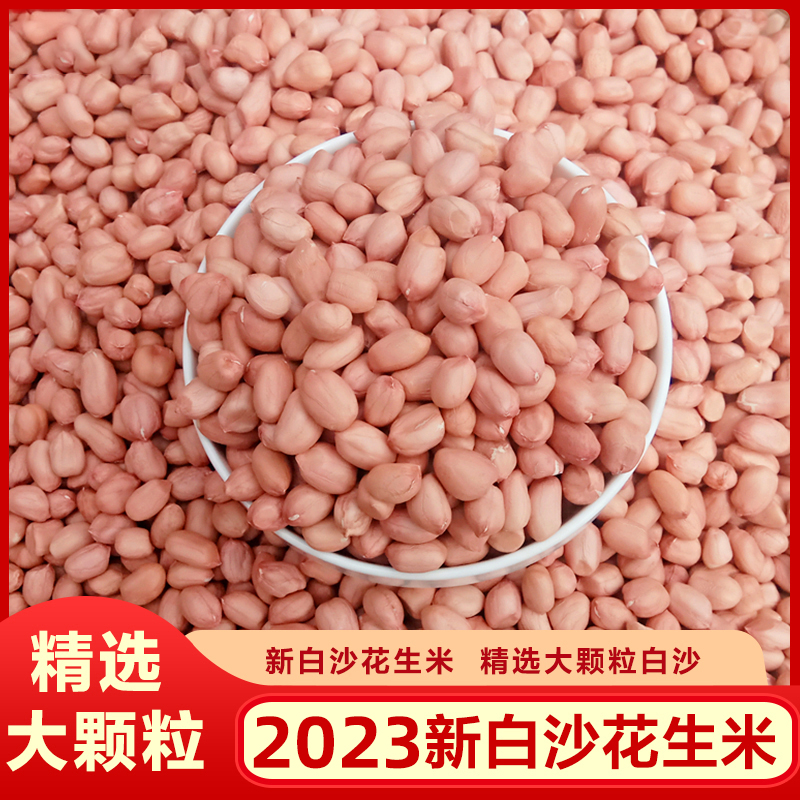 2023新鲜生花生米白沙花生仁去壳生花生农家自产下酒菜散装榨油