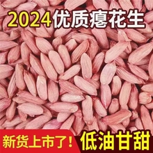 2024山东新鲜小瘪花生不带壳红衣仁新鲜瘪花生原味干瘪花生米零食