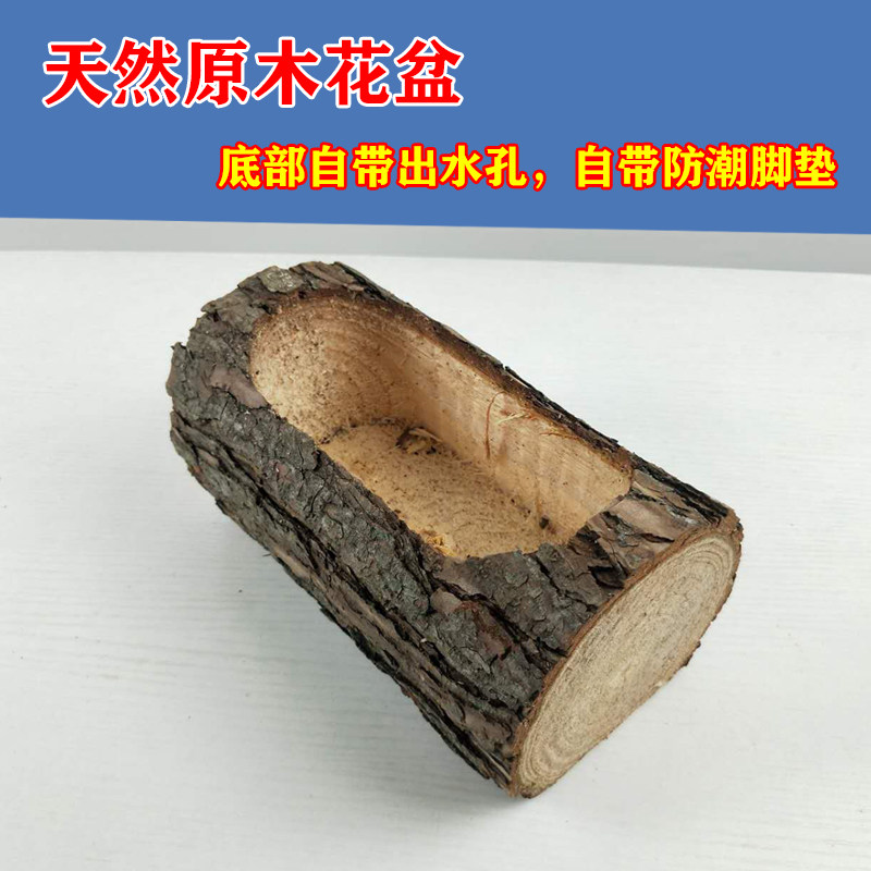 可爱树根自然风原木小花盆