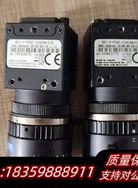 Piont grey 灰点 BFLY-PGE-12A2M-C.询价