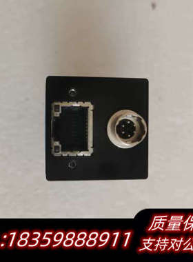 ImagingSource DMK 33GP031 工.询价