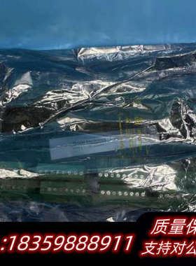 SAM Electronics 监测报警模块 REM401.询价