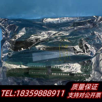 SAM Electronics 监测报警模块 REM401.询价