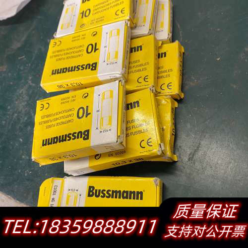 BUSSMANN熔断器C10G1保险丝500V1A保险管询价