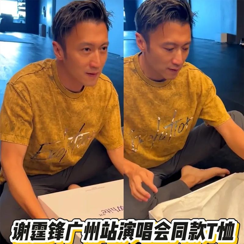 谢霆锋2025演唱会同款周边反光纯棉短袖T恤水洗脏脏黄男女衣服