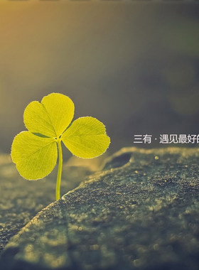 商品补差价 运费补价 样品专拍 预付定金 制作费用专拍