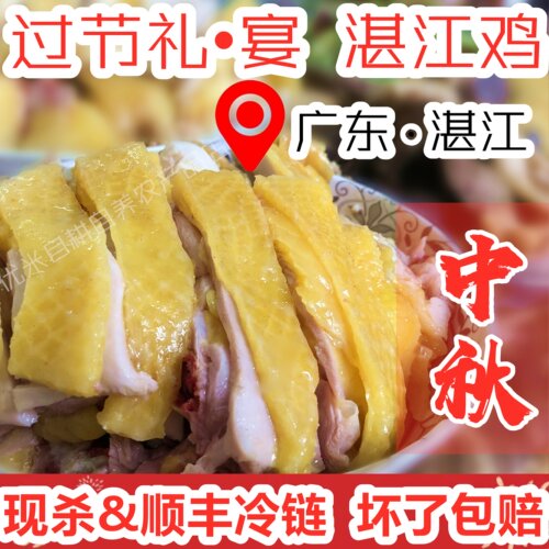 湛江鸡阉鸡生鲜真空包装白切鸡鸭