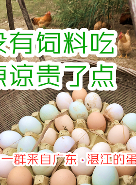 新鲜土鸡蛋农家初生蛋湛江鸡阉鸡白切鸡农家鸡蛋农村散养自养广东