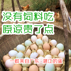 新鲜土鸡蛋农家初生蛋湛江鸡阉鸡白切鸡农家鸡蛋农村散养自养广东