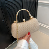 今年流行小众包包女包2024夏季 新款 百搭链条斜挎包独特手拎口金包