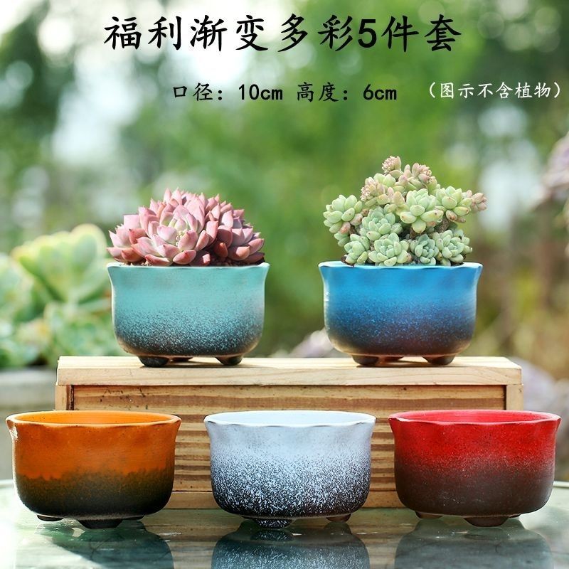 特价多彩渐变套装多肉花盆陶瓷复古素烧紫砂创意小花盆栽包邮捡漏
