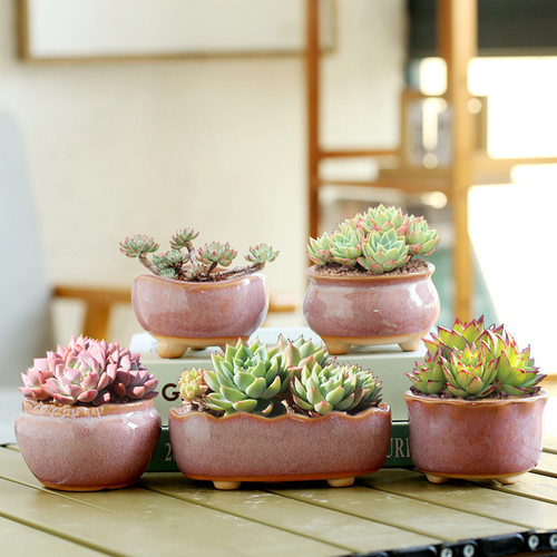 特价中小盆粉色多肉花盆陶瓷复古窑变创意盆栽工厂清仓工艺品摆件