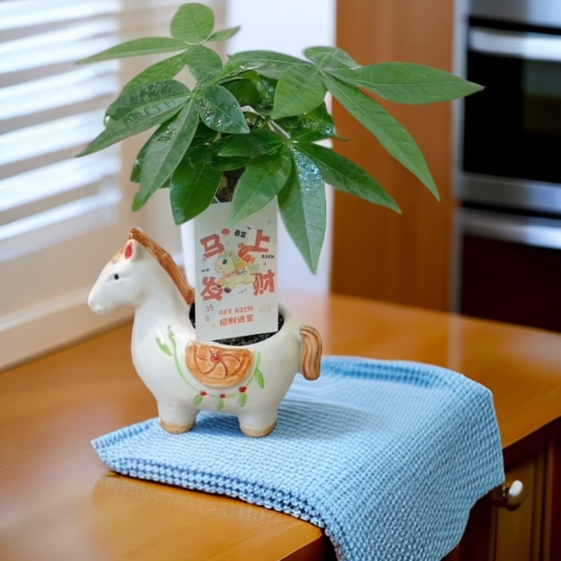 多肉花盆马上发财花盆创意粗气手绘马花盆室内外适合客厅办公室,鲜花速递/花卉仿真/绿植园艺,花盆,淘宝优惠券,粉丝福利购,淘宝优惠卷