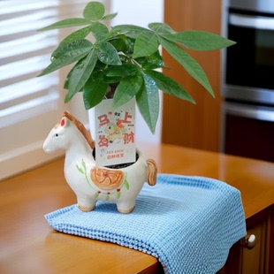 多肉花盆马上发财花盆创意粗气手绘马花盆室内外适合客厅办公室