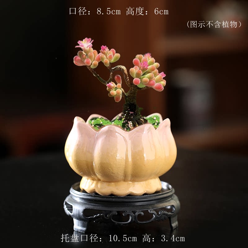 实用立体荷花渐变花盆陶瓷家用阳台陶土粗陶花盘中小陶盆清仓工厂