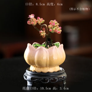 实用立体荷花渐变花盆陶瓷家用阳台陶土粗陶花盘中小陶盆清仓工厂