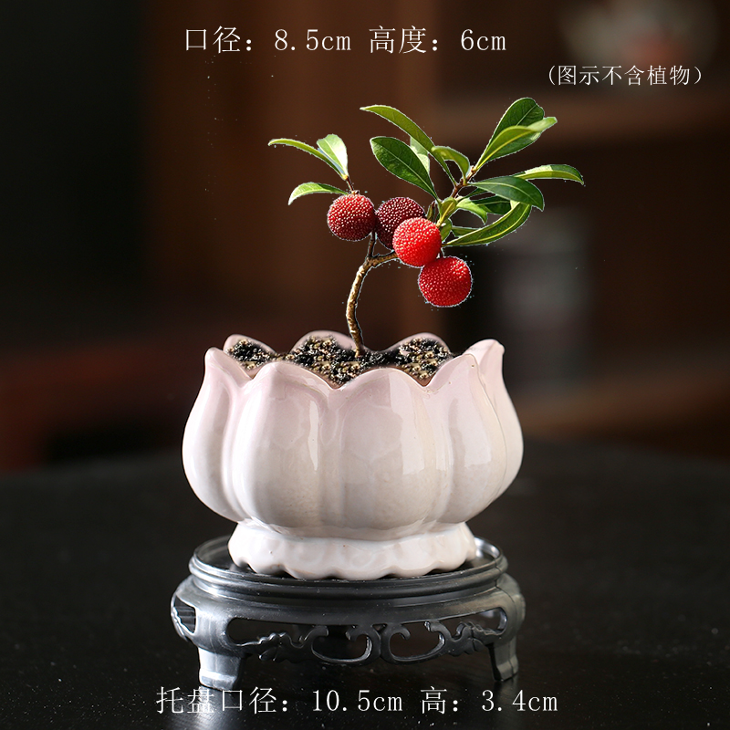 创意立体荷花渐变花盆陶瓷家用阳台陶土粗陶花盘中小陶盆清仓工厂