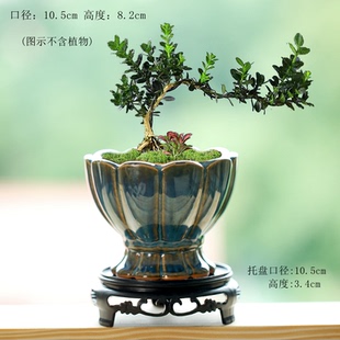 工厂直销特价复古荷花小老桩陶瓷家用阳台陶土粗陶花盘小陶盆清仓