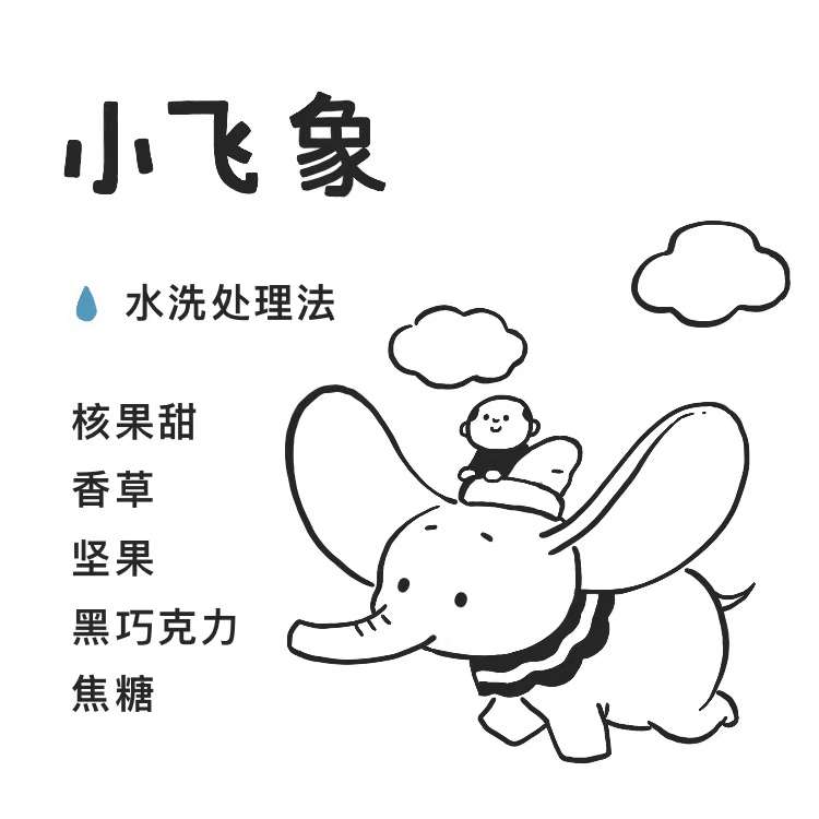 唐水哥伦比亚水洗小飞象坚果巧克力焦糖甜单品手冲精品黑咖啡熟豆