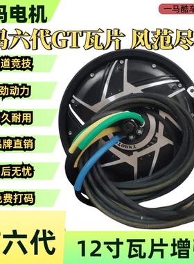 豫玛电机12寸2000/3000/6000/8000/10000/12000/25000瓦片GT新款